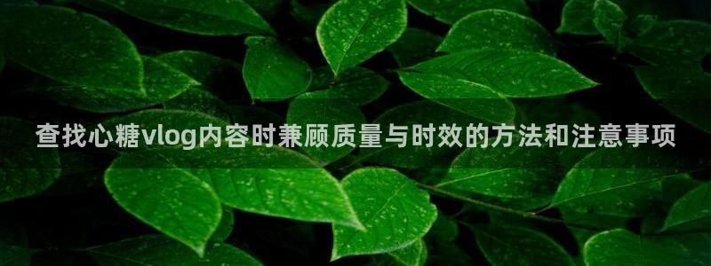 糖心vlog最新视频