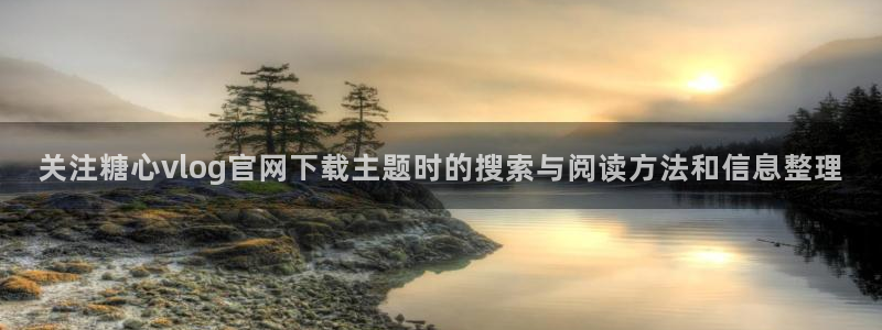 糖心vlog下载