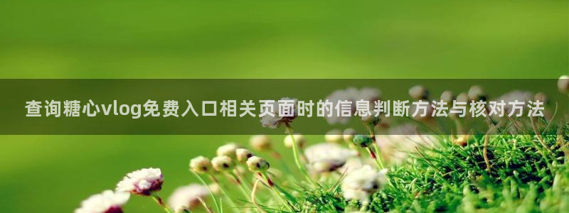 糖心vlog免费版在线观看
