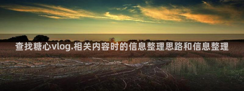 糖心视频破解版