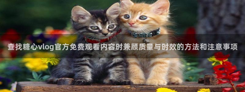 糖心官方官网网址:查找糖心vlog官方免费观看内容时兼顾质量与时效的方法和注意事项