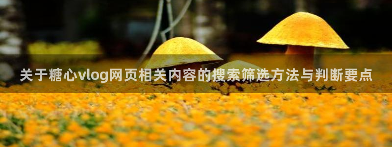糖心app在线观看：关于糖心vlog网页相关内容的搜索筛选方法与判断要点