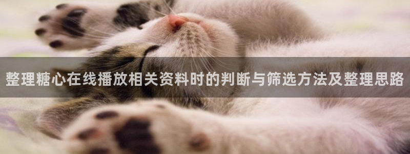 糖心网页版：整理糖心在线播放相关资料时的判断与筛选方法及整理思路